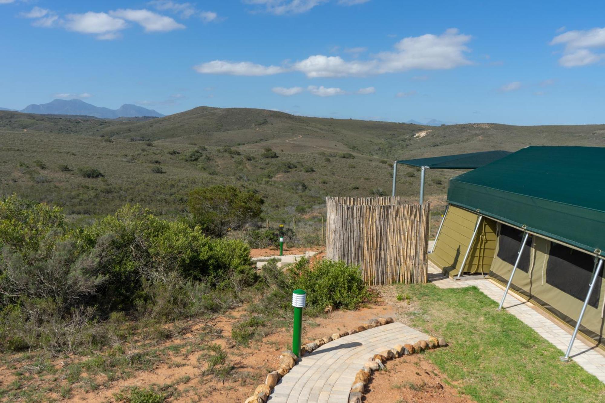 Hartenbos Private Game Lodge Exteriér fotografie