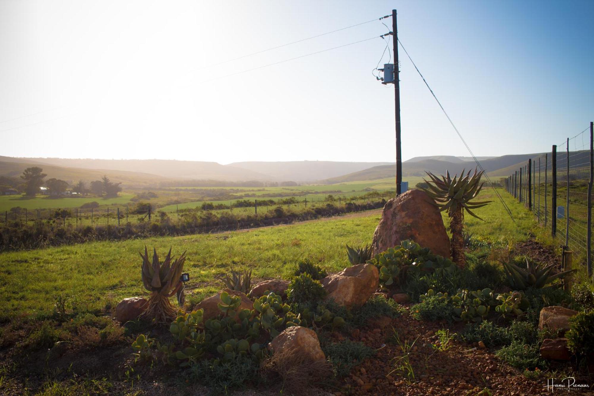 Hartenbos Private Game Lodge Exteriér fotografie