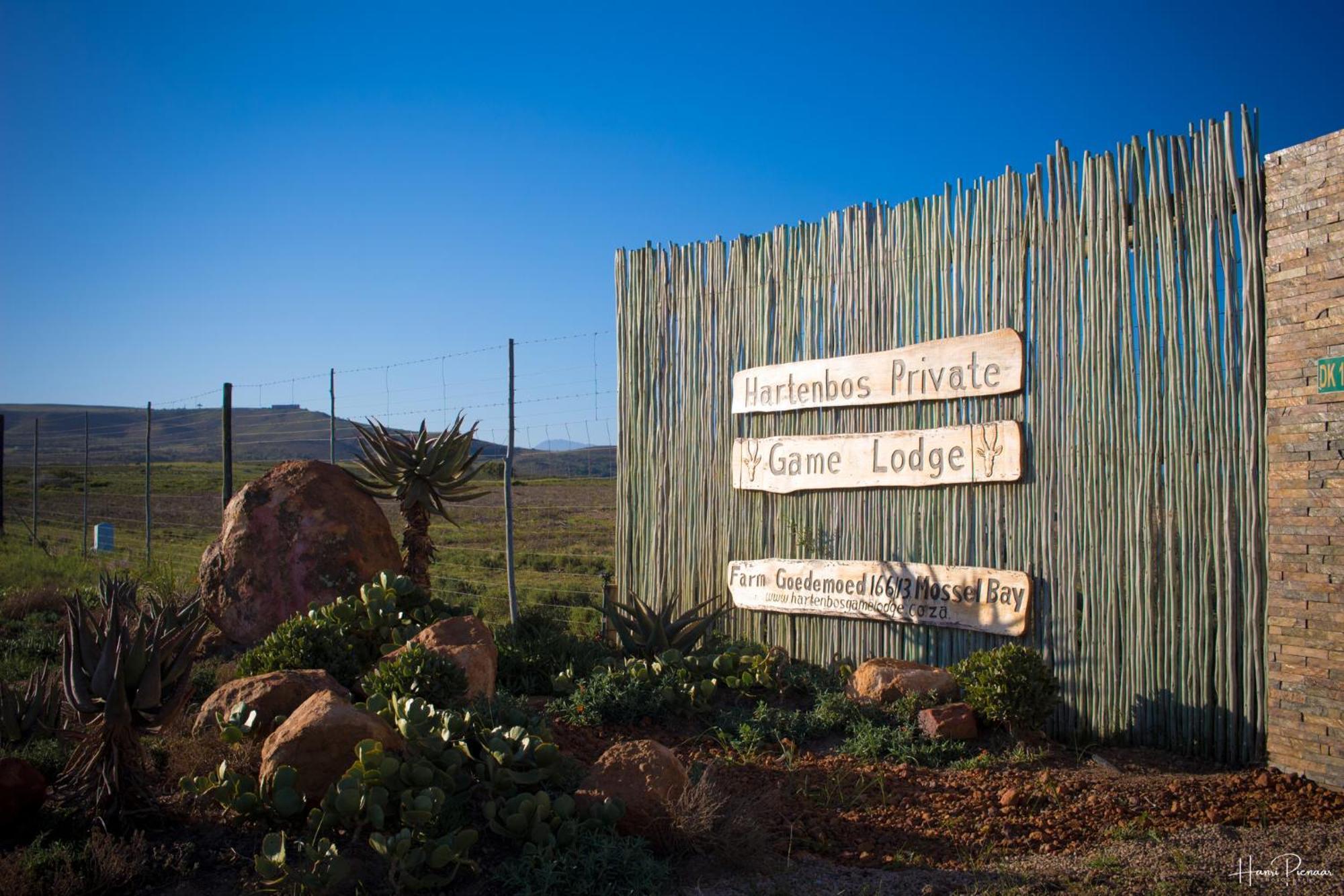 Hartenbos Private Game Lodge Exteriér fotografie